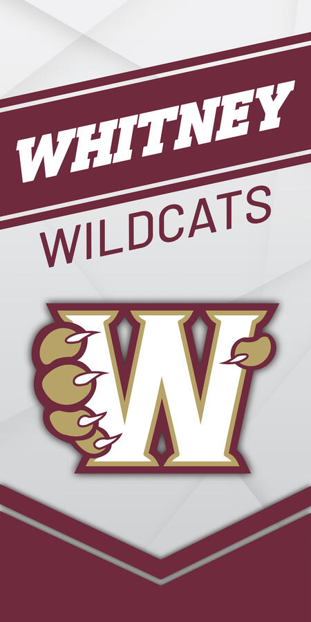 WHS Avenue Banner