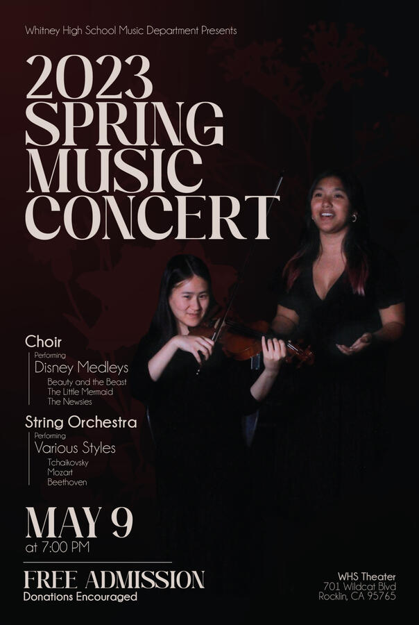 Orchestra / Choir Poster