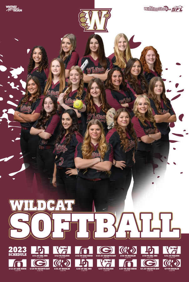 Softball Poster